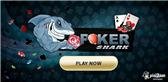 game pic for Poker Shark